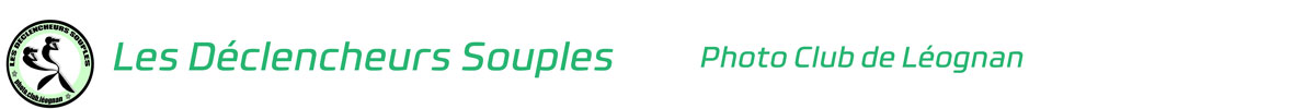 Les Déclencheurs Souples